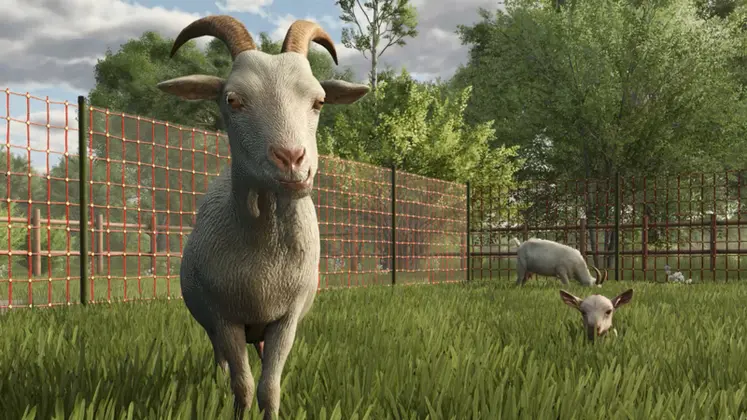 <em class="placeholder">Copie d&#039;écran du jeu Farming Simulator avec des chèvres</em>