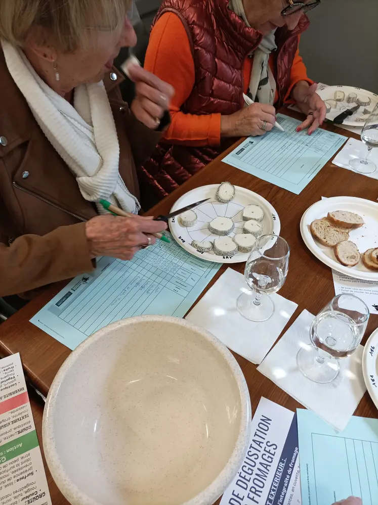 Dégustation des fromages lors du concours
