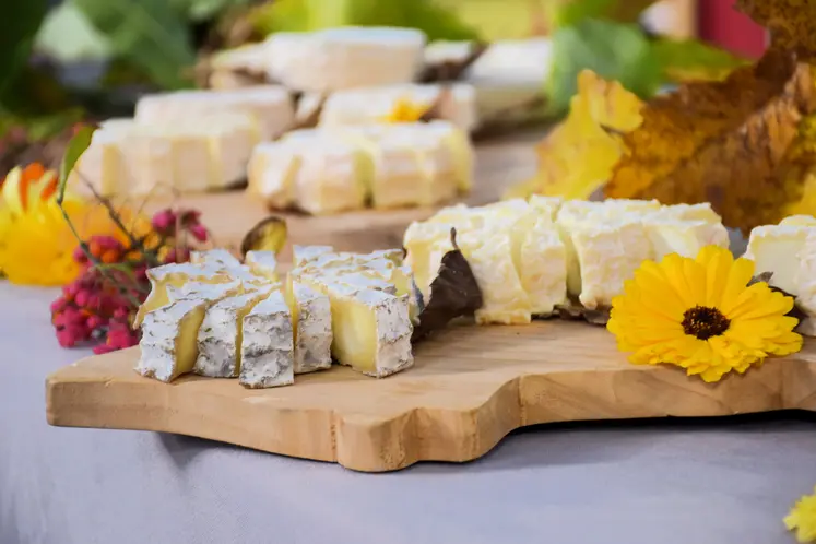 Fromage mothais sur feuille sur une planche en bois