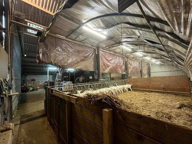 <em class="placeholder">Bâtiment tunnel pour les chèvres sous un hangar</em>