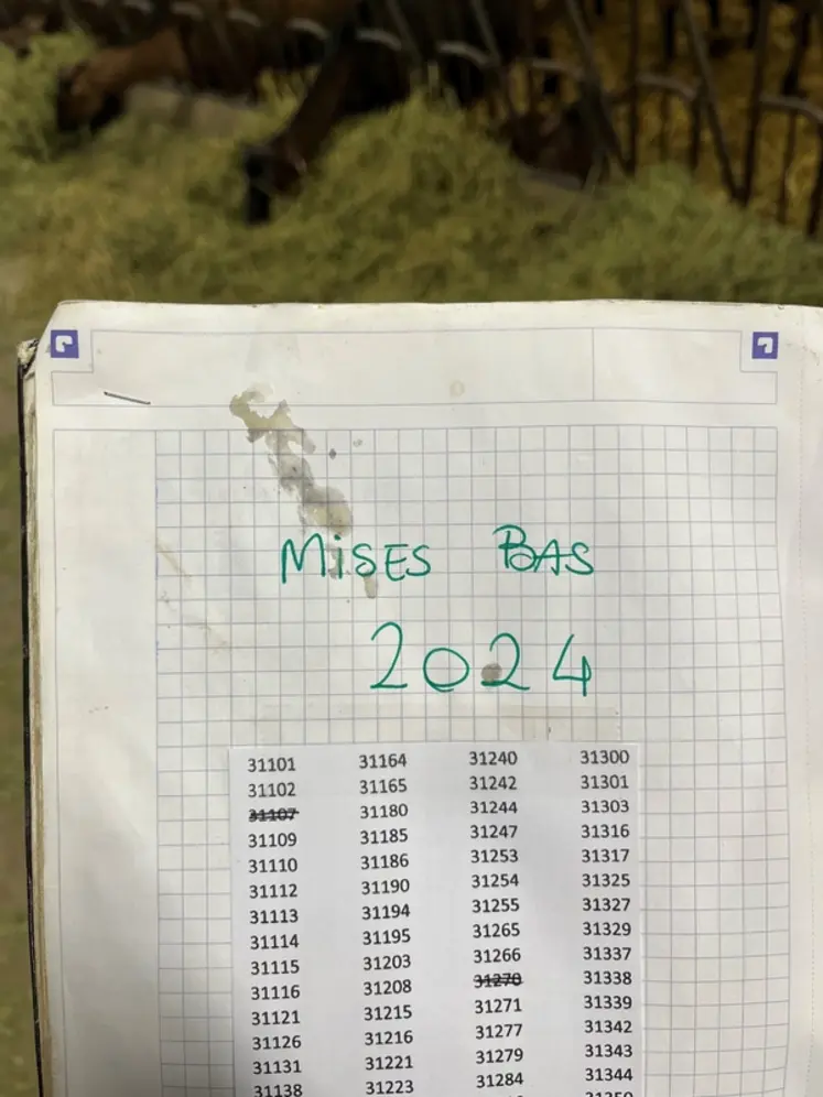 <em class="placeholder">Carnet de mise bas</em>