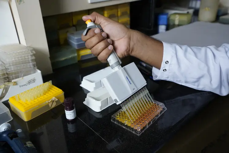 <em class="placeholder">Test Elisa</em>