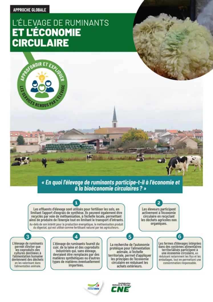 <em class="placeholder">Une de la fiche &quot;L’élevage de ruminants et l&#039;économie circulaire&quot;</em>