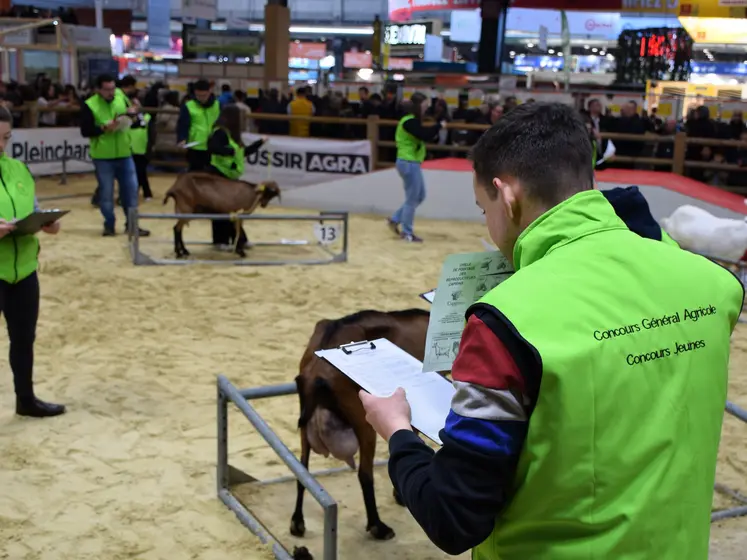 Concours de jugement des chèvres par les jeunes au salon de l'agriculture