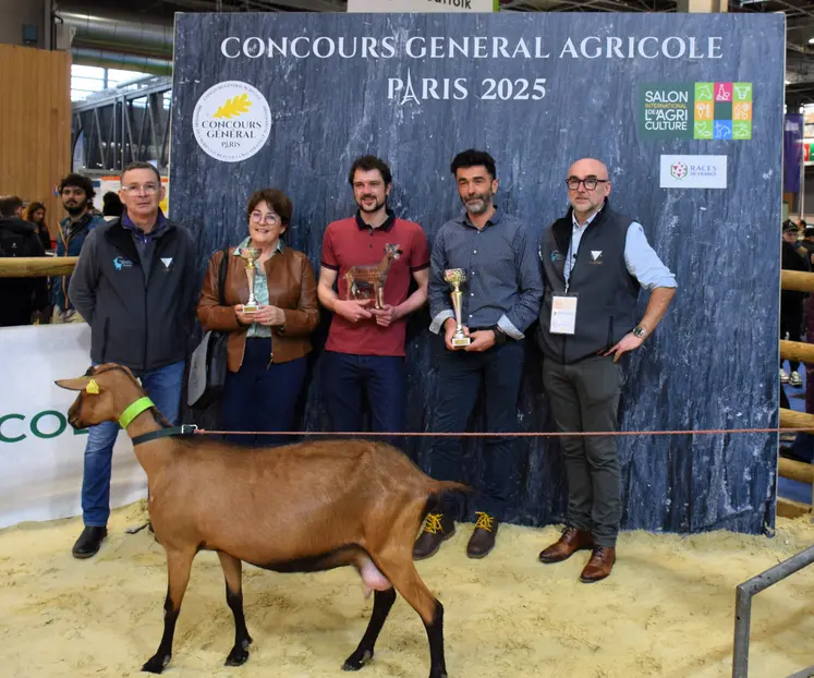 Les élevages caprins récompensés par le prix du trophée Gènes avenir en alpine