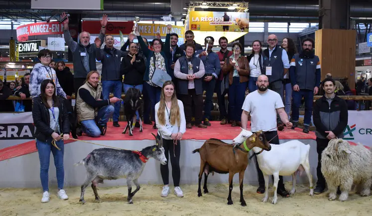 Les élevages caprins récompensés par le prix du trophée Gènes avenir au Salon de l'agriculture 2025
