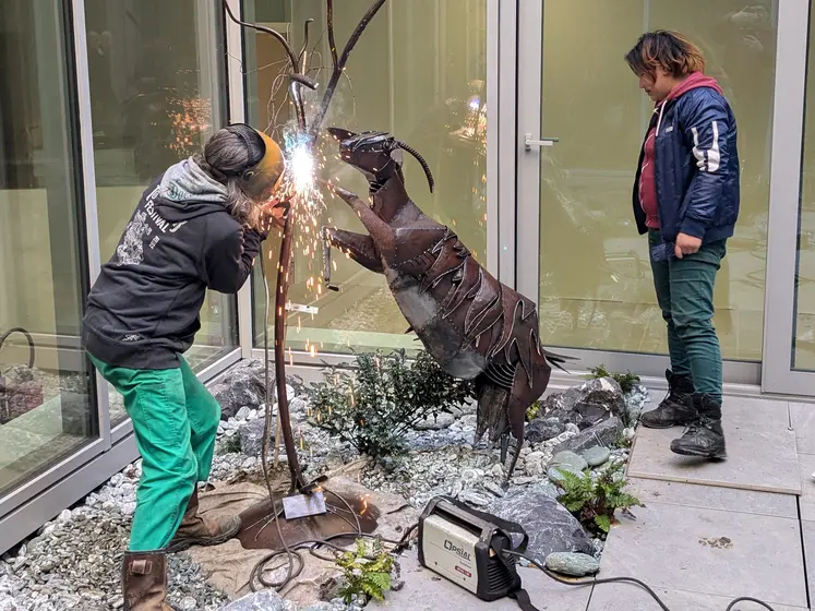 Installation de la chèvre Chevrolette à la MNE