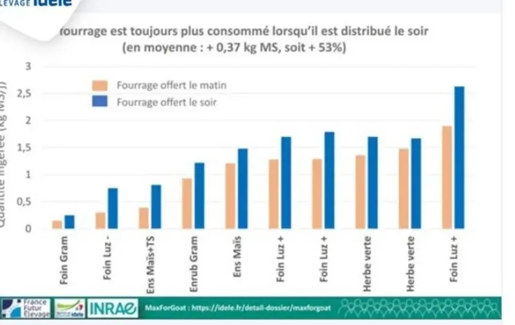 <em class="placeholder">Quantité de fourrage ingéré par les chèvres selon qu&#039;il soit distribué le matin ou le soir</em>