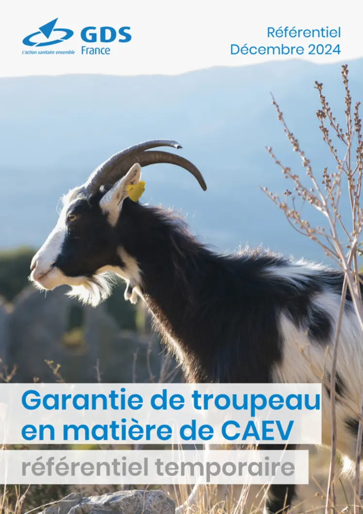 <em class="placeholder">Référentiel temporaire de la garantie de troupeau en matière de Caev</em>