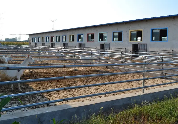 <em class="placeholder">Ferme caprine en Chine</em>