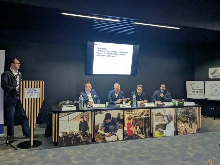 <em class="placeholder">Table ronde lors de l&#039;assemblée générale de la Fnec 2025 à Rodez
</em>