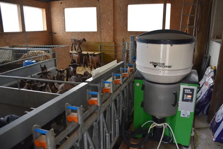 <em class="placeholder">La louve alimente les chevreaux légers.</em>