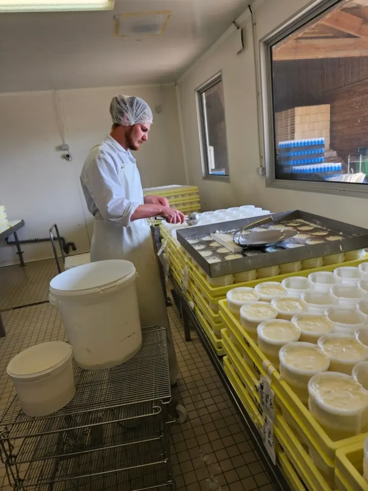 <em class="placeholder">Fabrication de fromage de chèvre picodon au Pradel, en Ardèche </em>