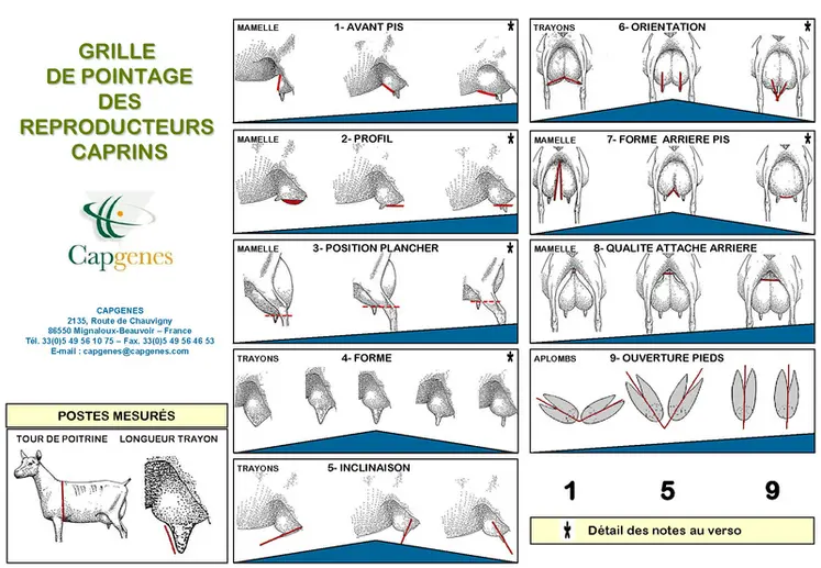 <em class="placeholder">Grille de pointage des reproducteurs caprins Capgenes</em>