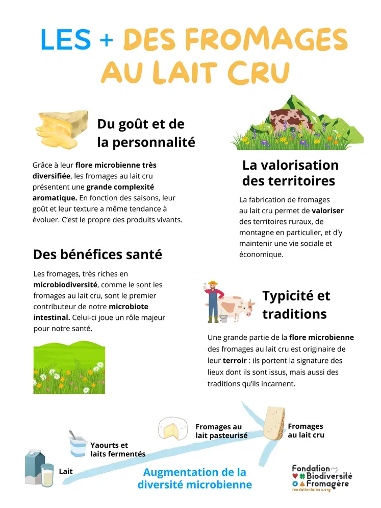 Affiche sur les fromages et la santé