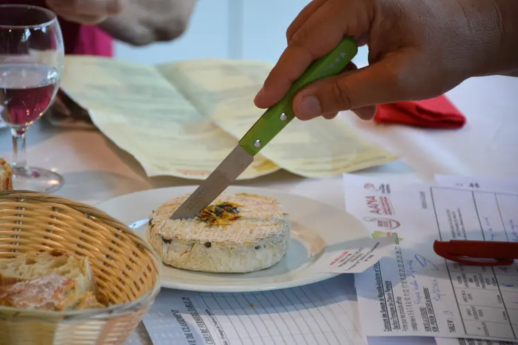 Fromage en train d'être coupé lors du Concours Saveurs Nouvelle-Aquitaine des fromages de chèvre fermiers et artisanaux 