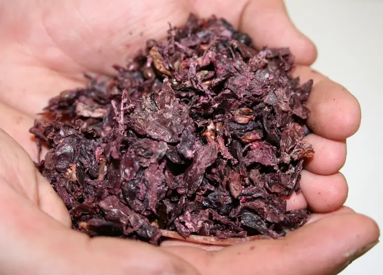 <em class="placeholder">Marc de raisin</em>
