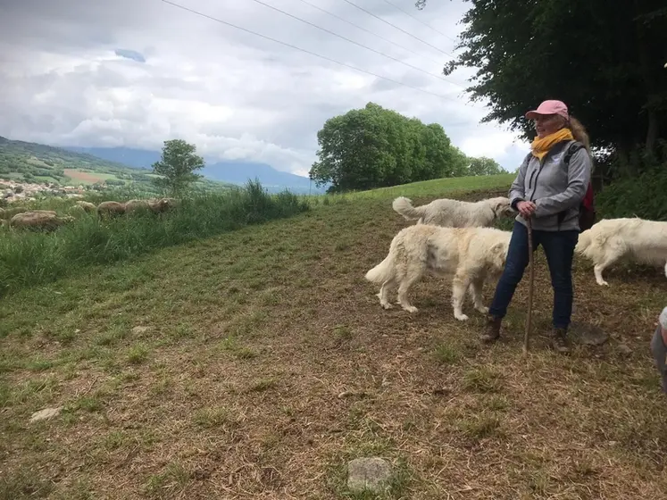 <em class="placeholder">Béatrice Reynaud, éleveuse d’ovins dans les Hautes-Alpes et référente du réseau Chiens de protection de l’Institut de l’élevage.</em>