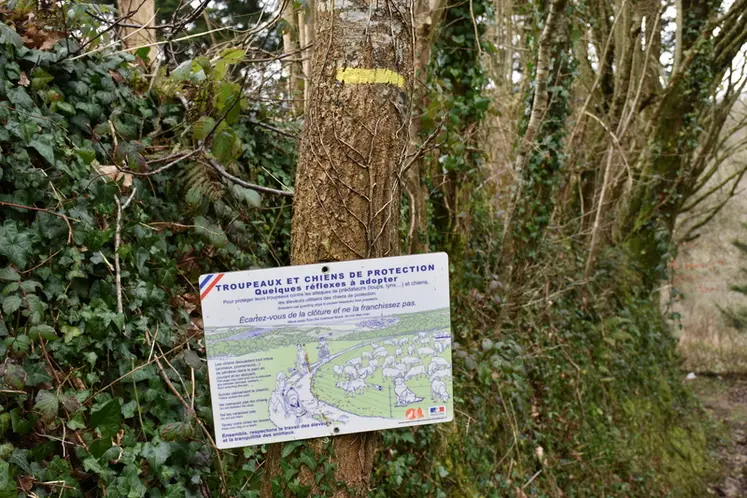 <em class="placeholder">Un panneau d&#039;information signalant les chiens</em>