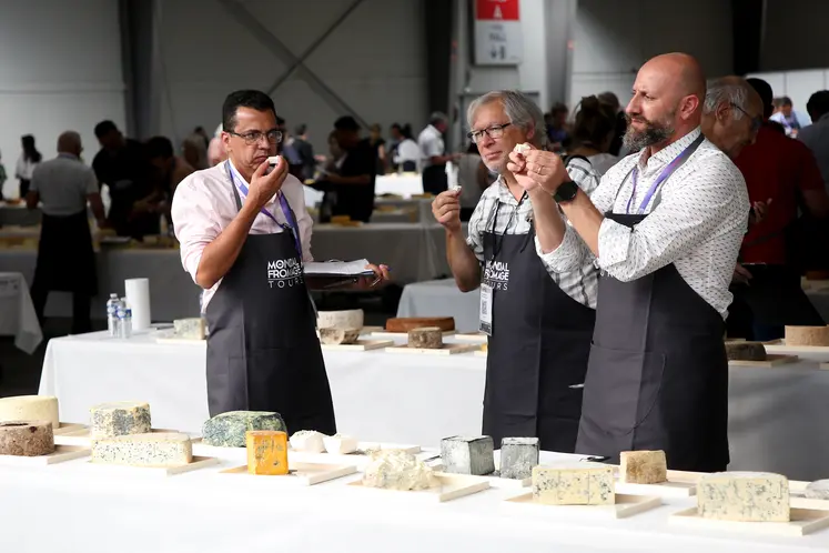 Dégustation des fromages lors du concours
