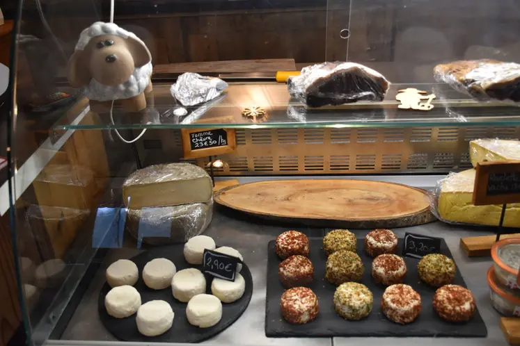 <em class="placeholder">Fromages de chèvre</em>