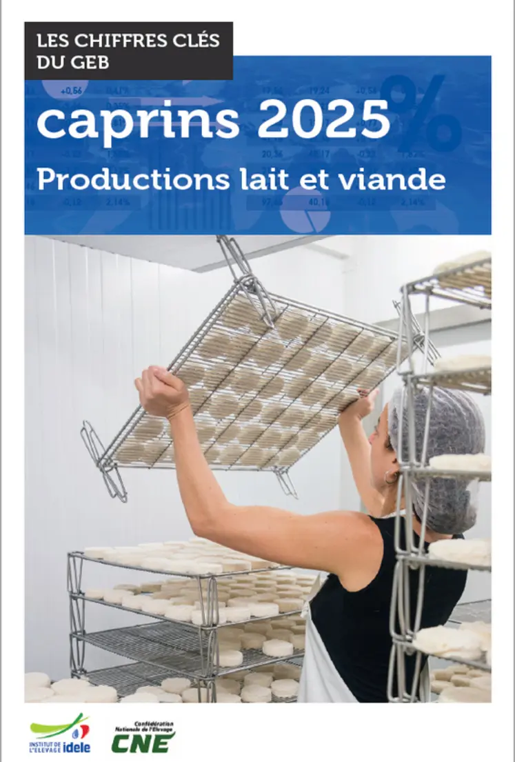 <em class="placeholder">Les chiffres clés du GEB</em>