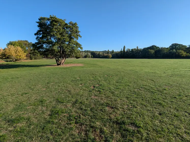 Prairie le 18 septembre 2025 en Essonne
