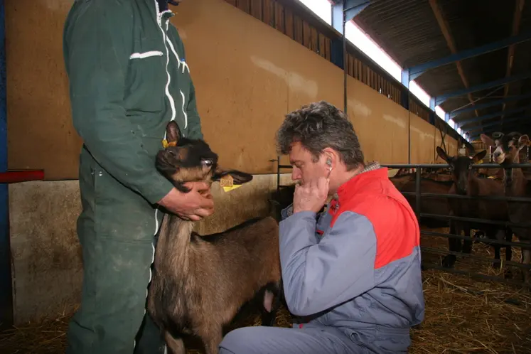<em class="placeholder">Consultation d'un vétérinaire chez un éleveur de chèvres</em>