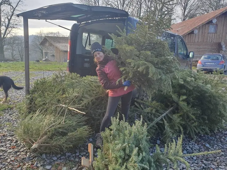 <em class="placeholder">Chargement des sapins dans la camionnette</em>