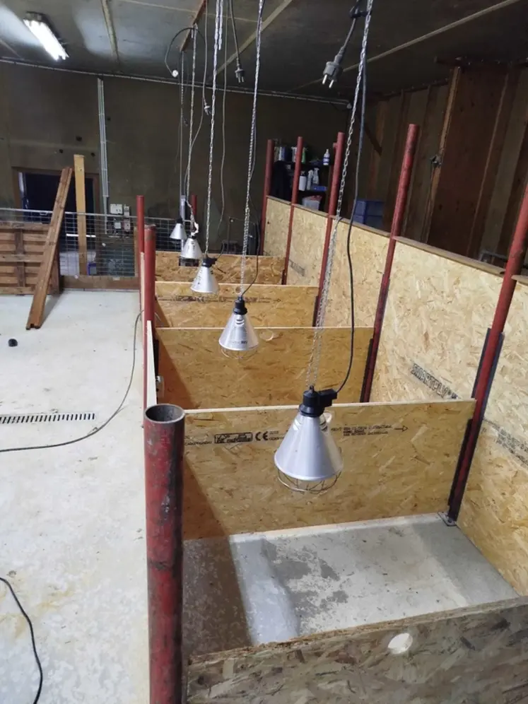 <em class="placeholder">Cases dans la nurserie</em>