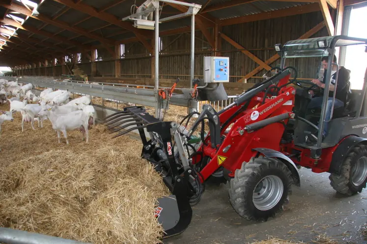 <em class="placeholder">Paillage des chèvres</em>