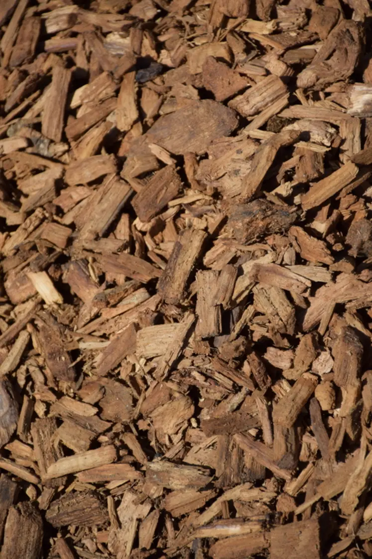 <em class="placeholder">Plaquette de bois en litière</em>