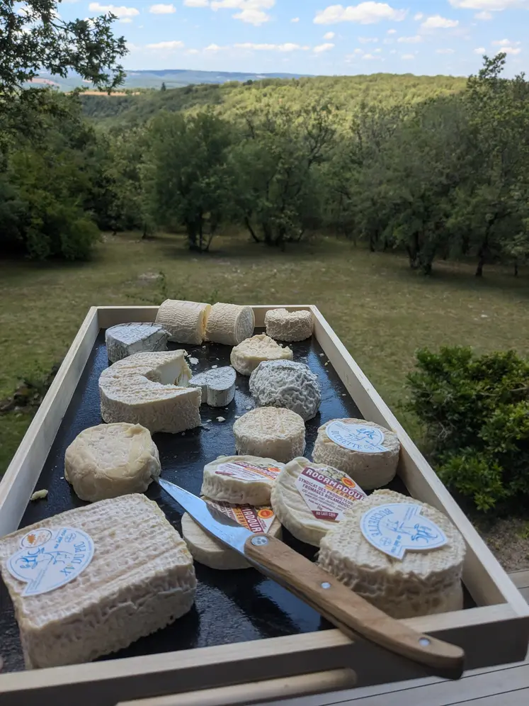 Fromages de chèvres et paysage du Lot