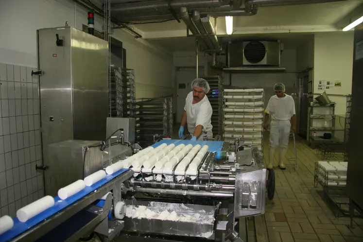 <em class="placeholder">Fabrication de fromages de chèvre dans l'usine Riblaire de Lactalis en 2006</em>
