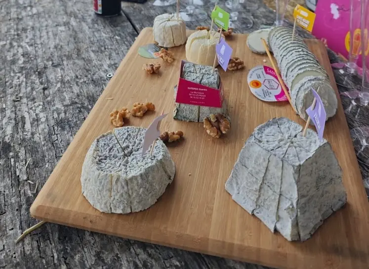 <em class="placeholder">Fromages de chèvre de la région Centre-Val de Loire</em>