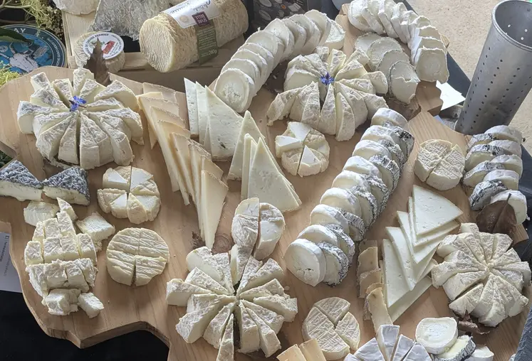Plateau de fromages de chèvre