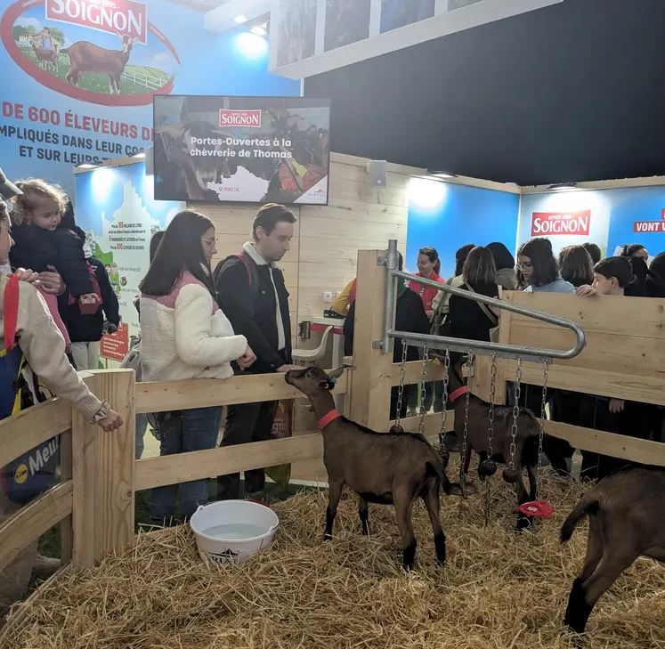 Chevrette et enrichissement au stand Soigon du salon de l'agriculture