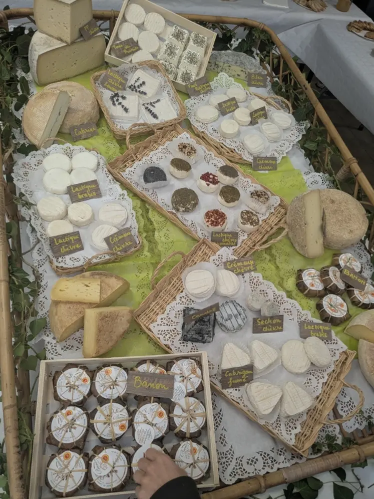 <em class="placeholder">Fromages au lait cru</em>