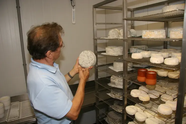 <em class="placeholder">En fromagerie fermière</em>