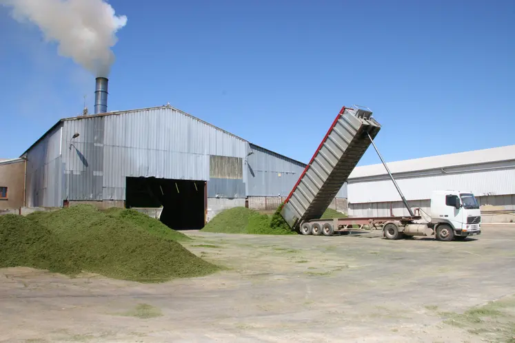 Usine de déshydratation de la luzerne