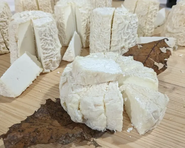 <em class="placeholder">chabichou du Poitou et le mothais sur feuille</em>