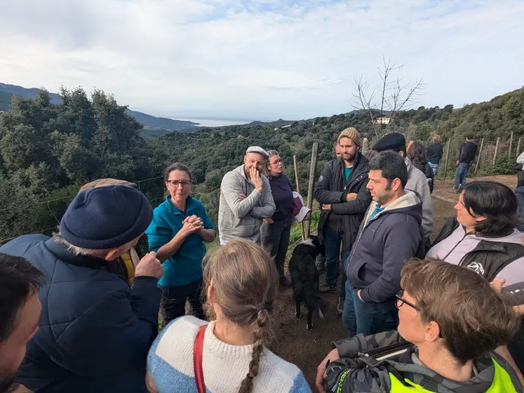<em class="placeholder">Rencontre des associations de race sur le terrain en Corse</em>