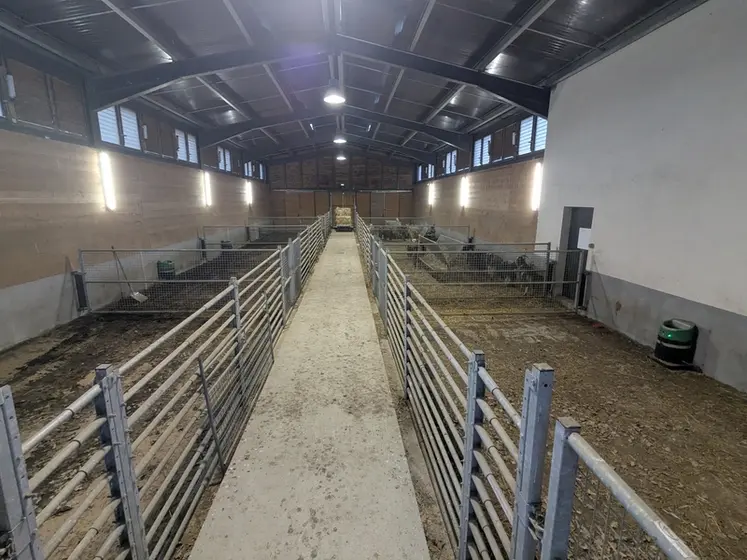 <em class="placeholder">Haras de bouc d'Altiani</em>