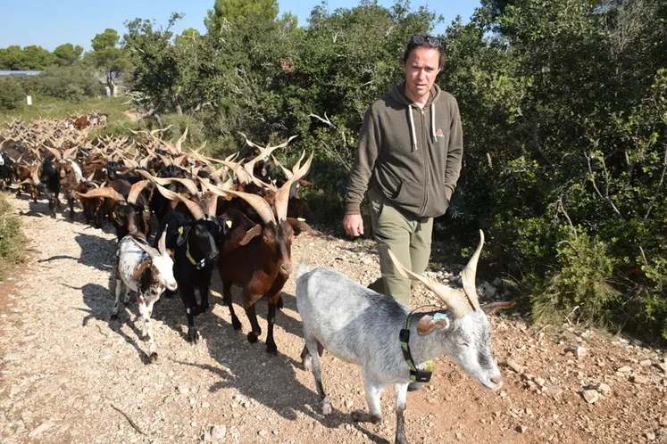 <em class="placeholder">Au milieu de la garrigue provençale, Jean-Pierre Hueso produit des fromages tout en maintenant vivants des paysages ouverts que les chèvres du Rove façonnent depuis des ...</em>