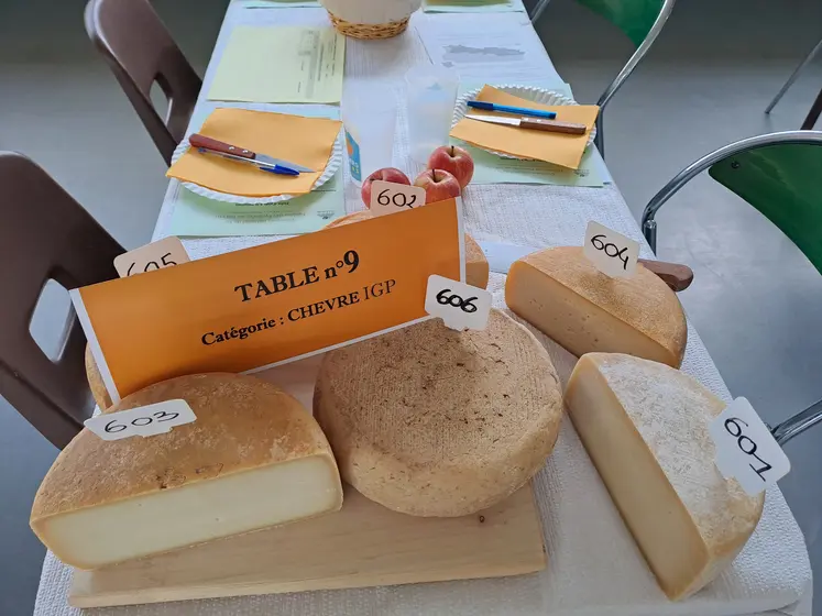 tommes de chèvre