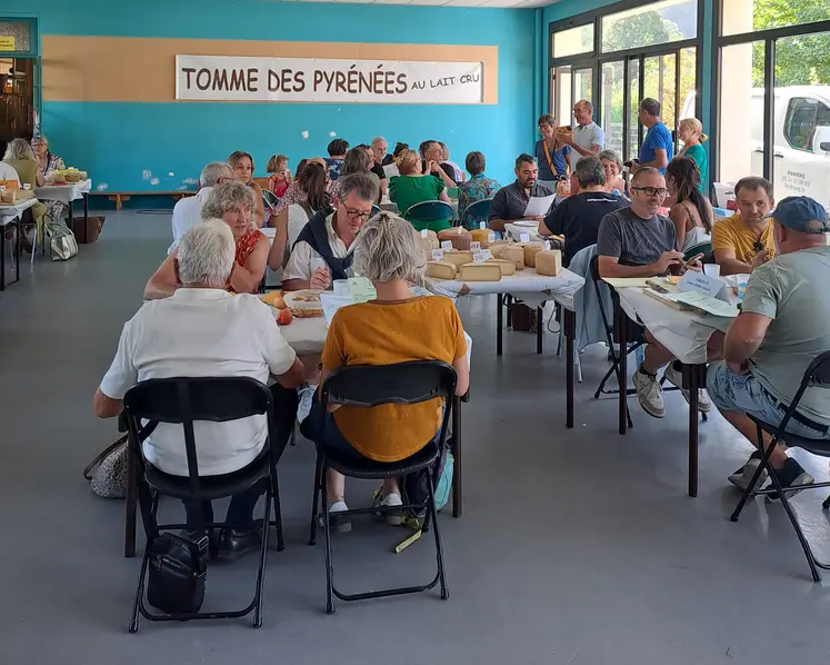 Dégustation des fromages