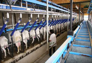 Les éleveurs de chèvres demandent que les négociations commerciales puissent rémunérer leurs efforts à hauteur de deux Smic en moyenne par travailleur.