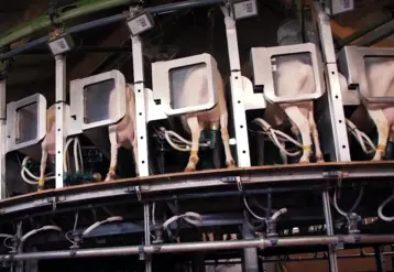 La traite des chèvres de Céline est très high-tech !