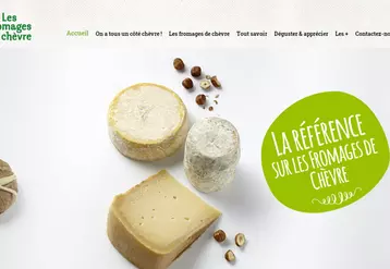 Le site internet  fromagesdechevre.com décrit la diversité des fromages et propose des recettes d'apéritif, entrée, plat ou dessert.  © Anicap