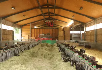 La chèvrerie construite en 2016 intègre également la salle de traite et le séchage en grange, ce qui explique la hauteur sous plafond très importante. Cela est finalement satisfaisant, permettant une bonne circulation de l'air. © B. Morel